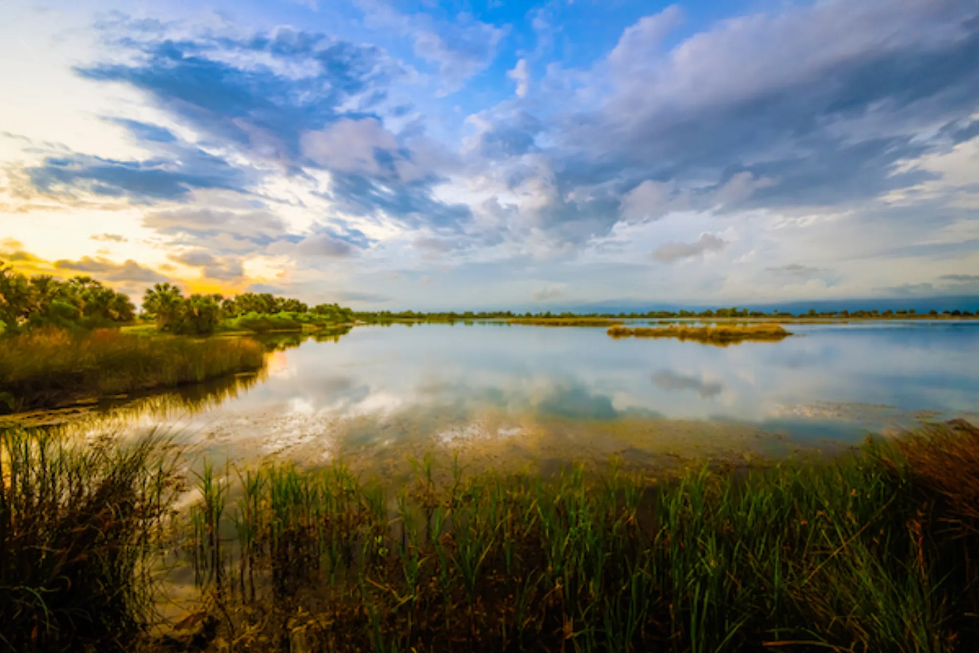 Madrona Marsh Nature Center