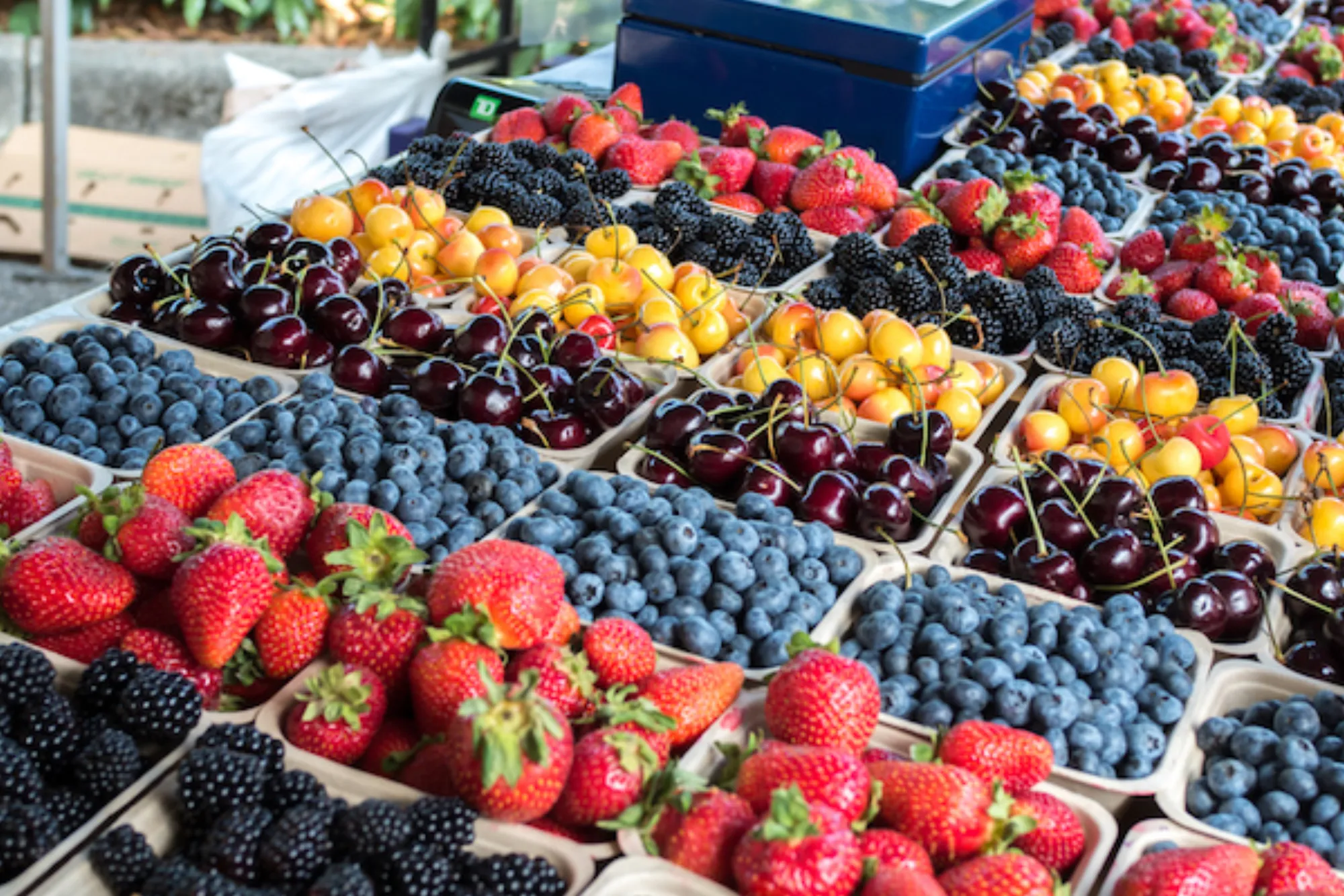 Torrance Certified Farmers Market